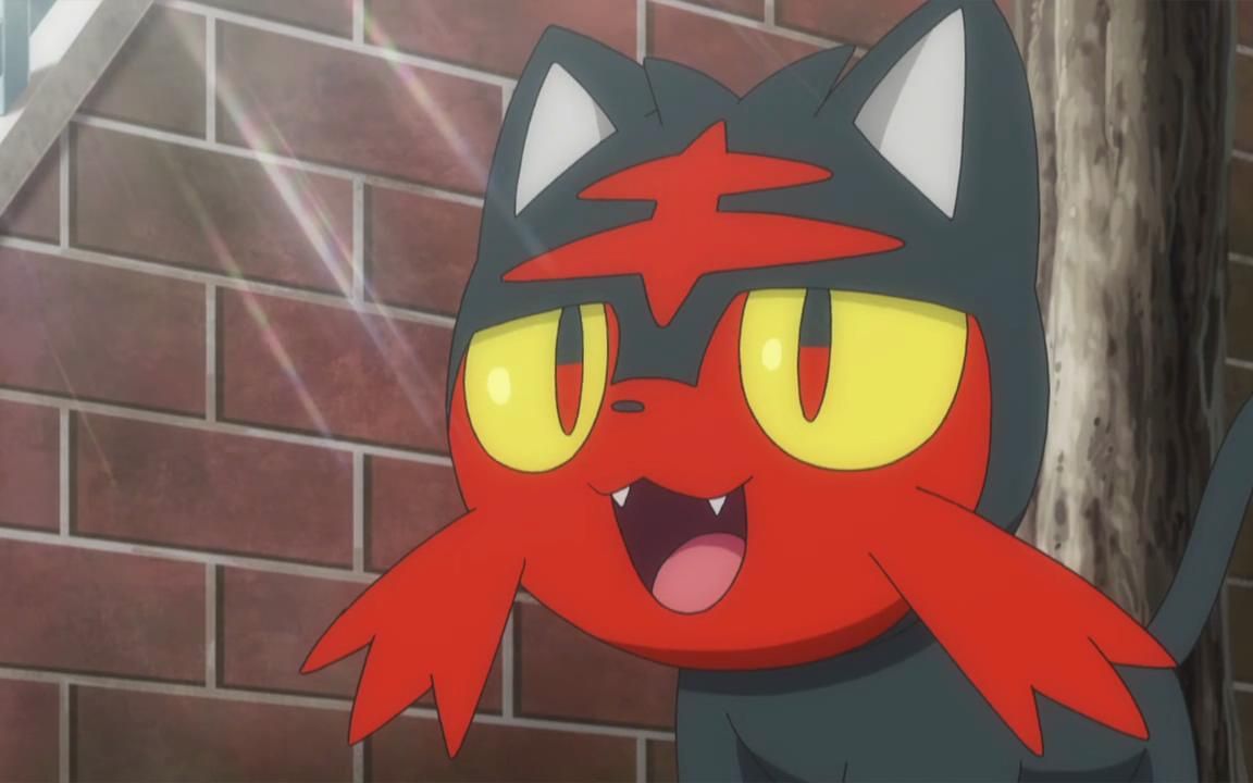 【感动向/amv】献给火斑喵的歌_哔哩哔哩_bilibili