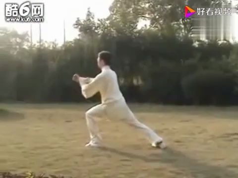 85式杨式太极拳(带口令背面演示)哔哩哔哩bilibili