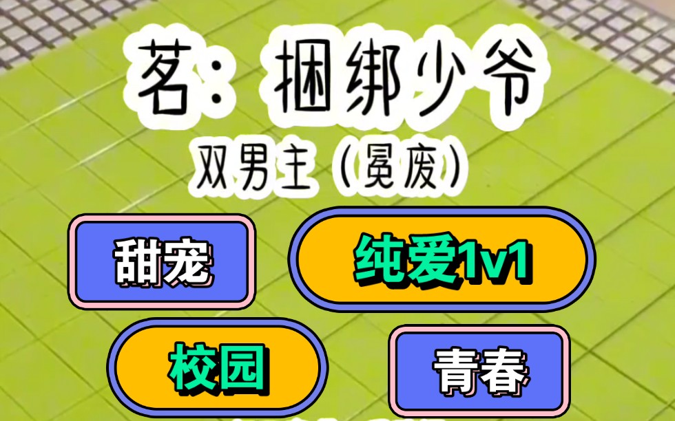 【双男主+甜宠1v1】顺风顺水的小少爷家破产了.哔哩哔哩bilibili