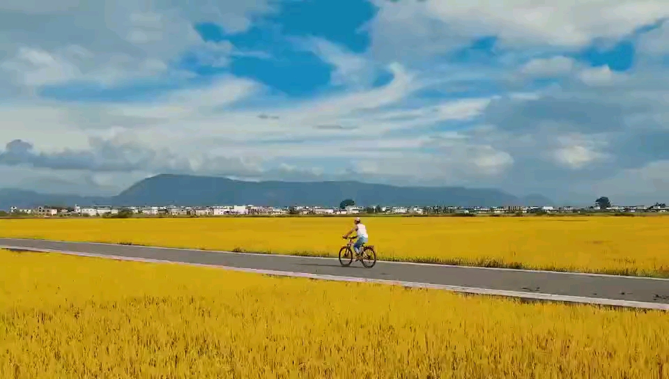 [图]风吹麦浪是宫崎骏画里秋天的样子都说秋天适合想念我在大理喜洲古镇想你