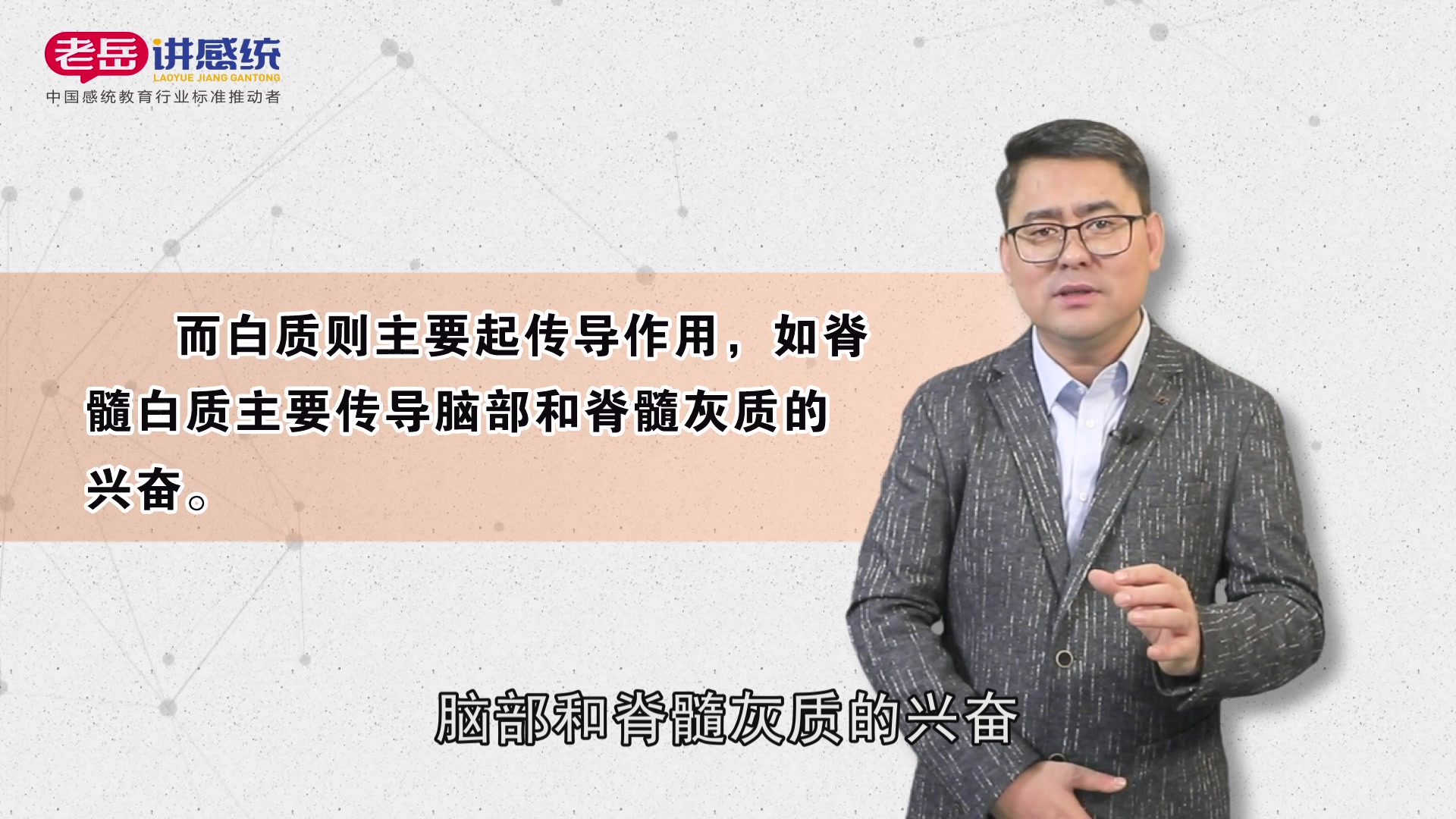 感统知识百科:灰质和白质不只是颜色不同,功能也大不同哔哩哔哩bilibili