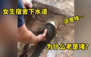 Tải video: 女生宿舍下水道，为什么老是堵？