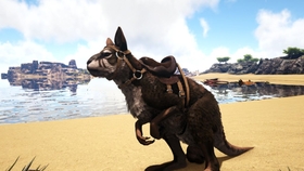 方舟伤齿龙驯服方法 哔哩哔哩 つロ干杯 Bilibili