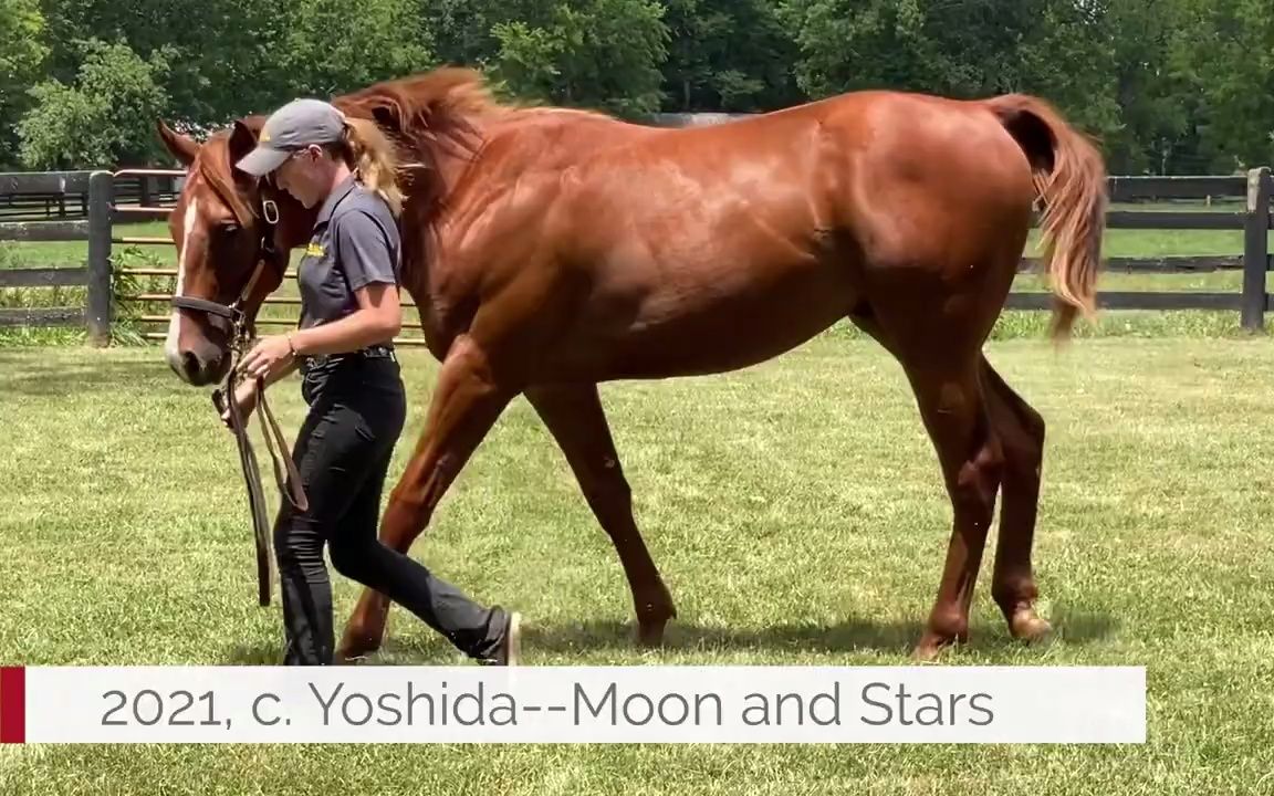 [图]Yoshida及其首批周岁子嗣