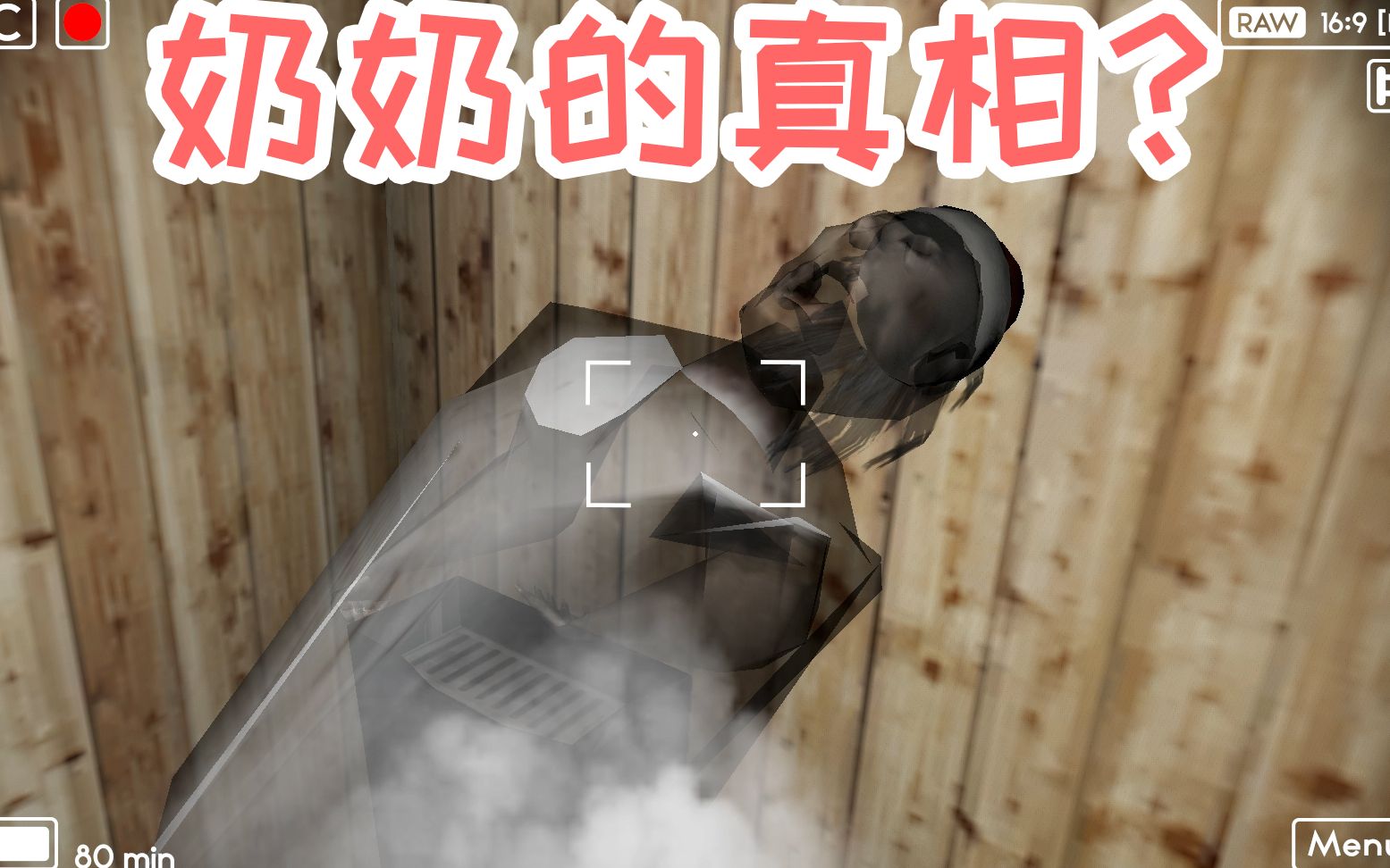 奶奶granny的生活02恐怖奶奶到底是人是鬼为什么突然消失了