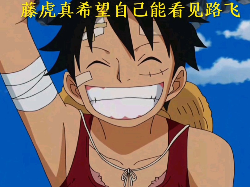 藤虎真希望自己睁开眼睛看看路飞的样貌