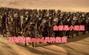 Download Video: 【战锤2全面战争】黑暗精灵mod兵种鉴赏 全部都是小姐姐