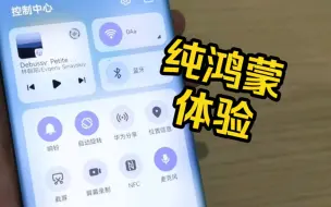 Download Video: 【纯鸿蒙手机体验】华为HarmonyOS NEXT首发体验，流畅丝滑，没有AOSP