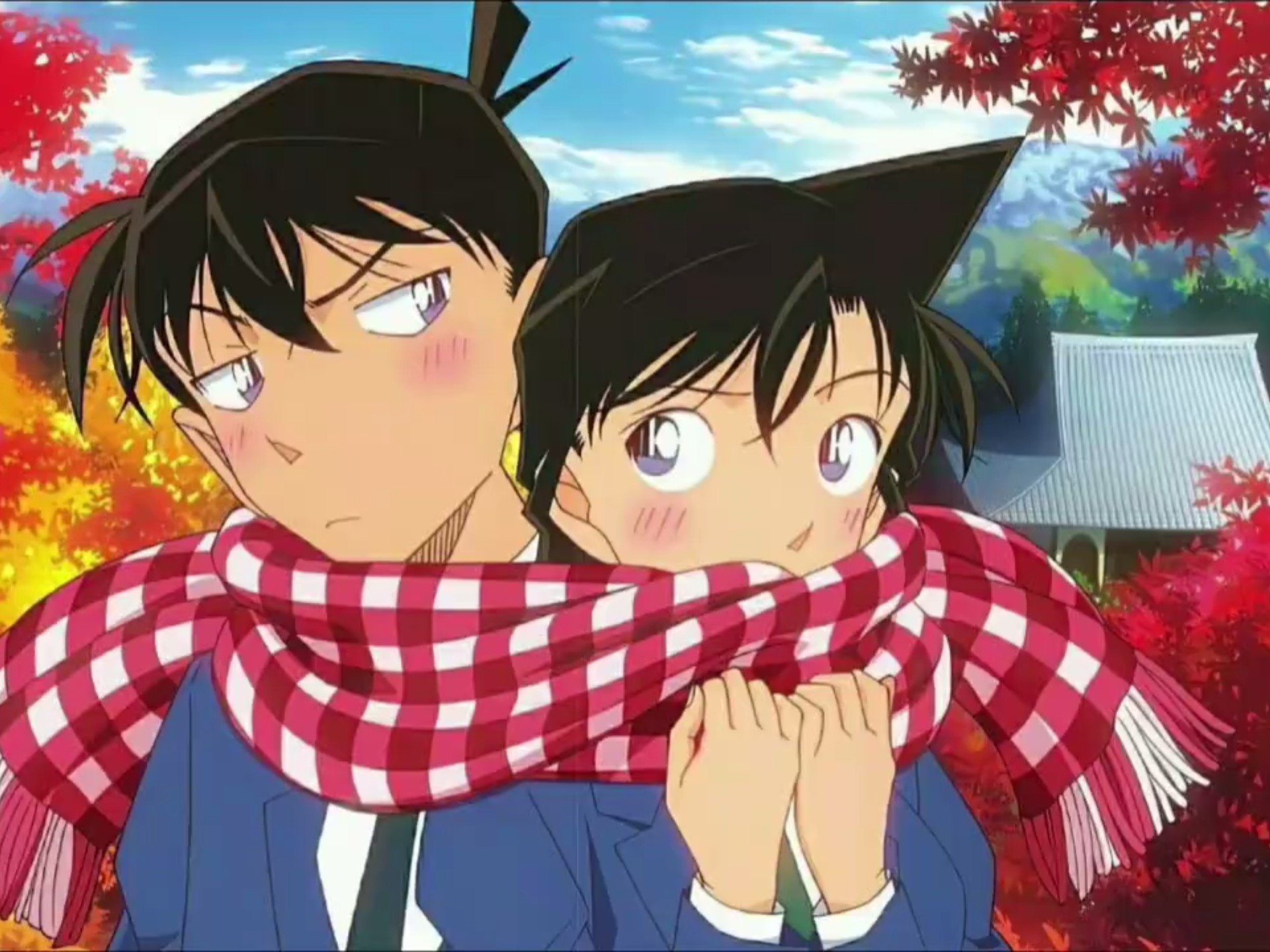 新兰,剪的是真的好