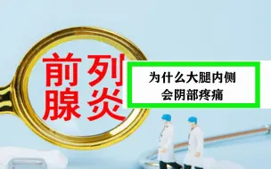 Скачать видео: 前列腺炎为什么会导致大腿内侧会阴周围疼痛？