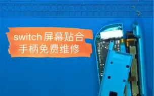 任天堂Switch屏幕贴合（宁波粉丝）