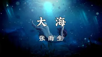 Download Video: 《大海》-张雨生“如果大海能够唤回曾经的爱 就让我用一生等待”