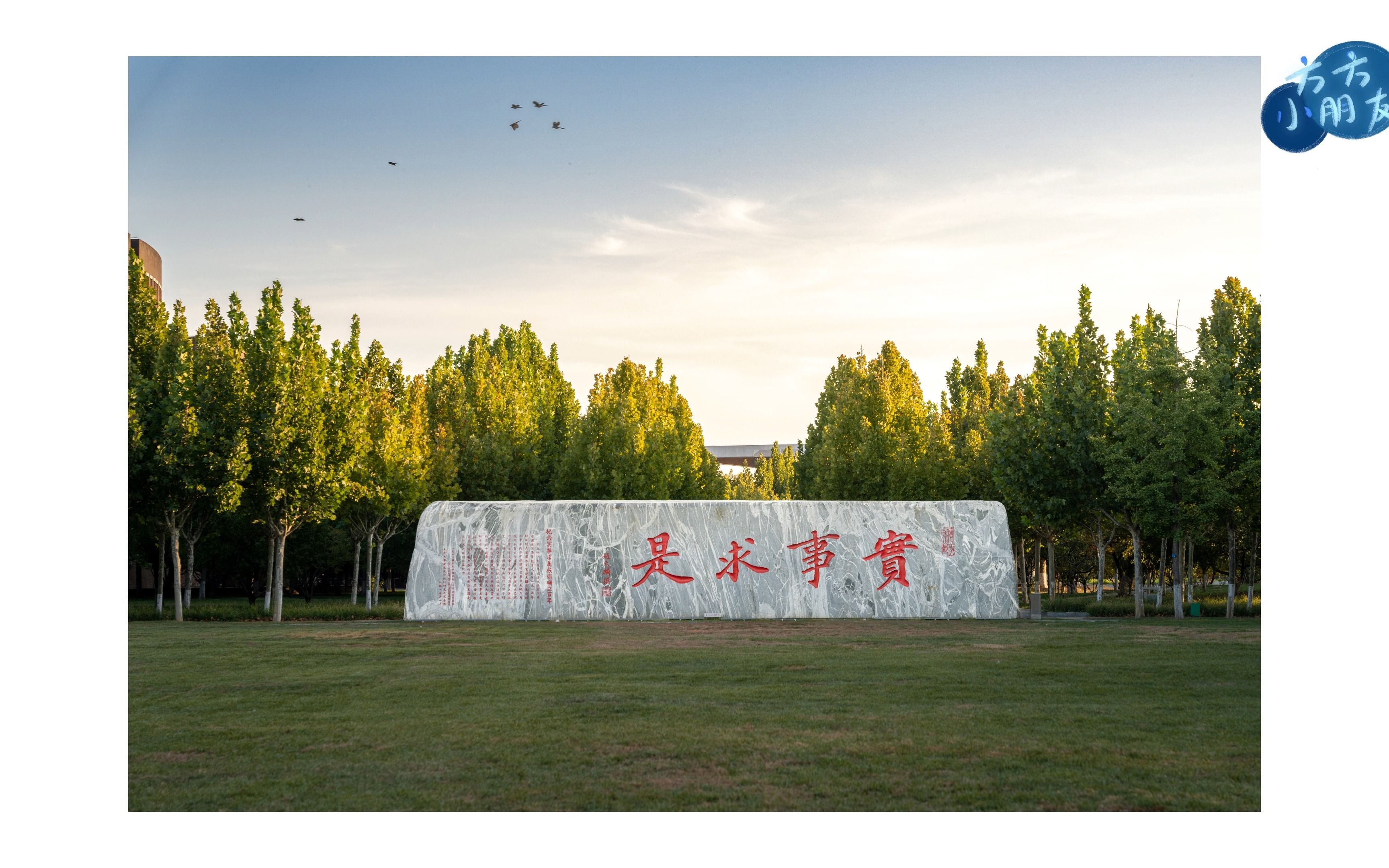 秋日北洋 摄影分享校园风景照片 天津大学北洋园校区秋日风景