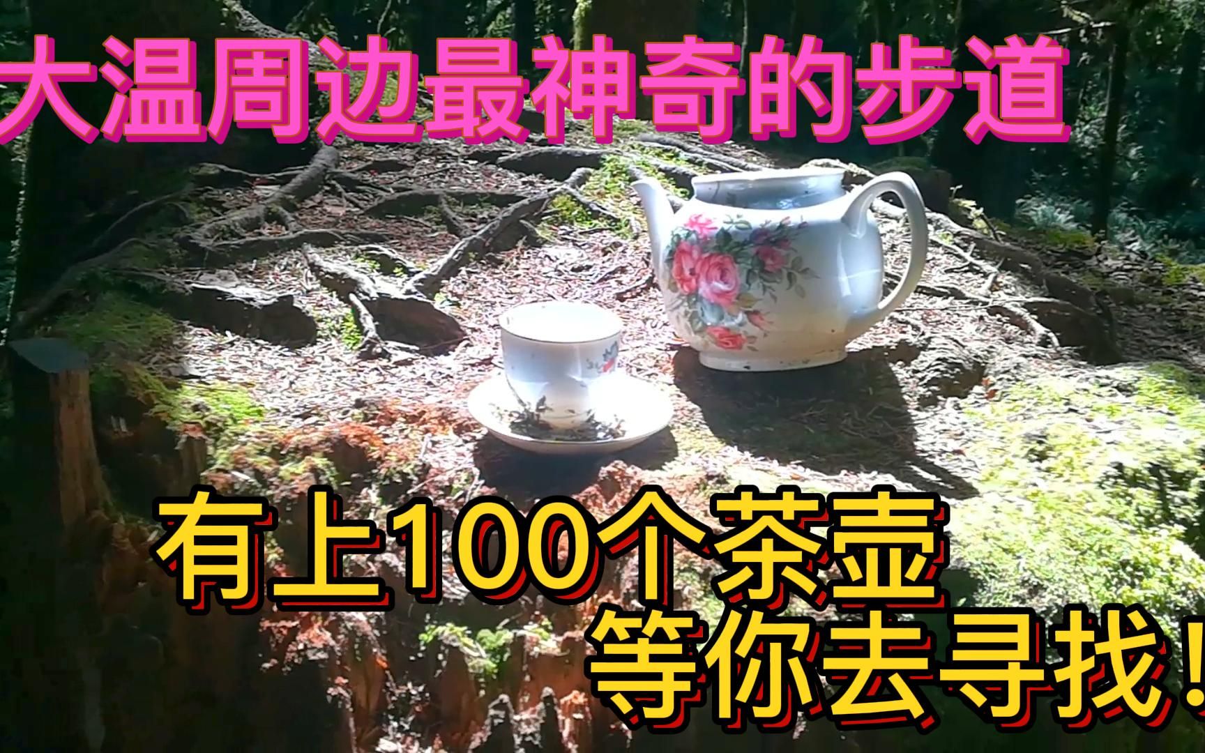 茶壶山大温周边最神奇的步道,有上100个茶壶等你去寻找!哔哩哔哩bilibili