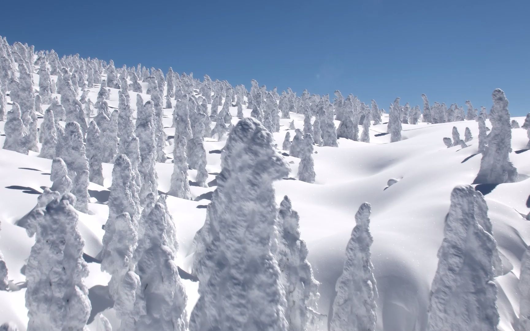 4k极致雪景,来时山有雪,归去尽白发