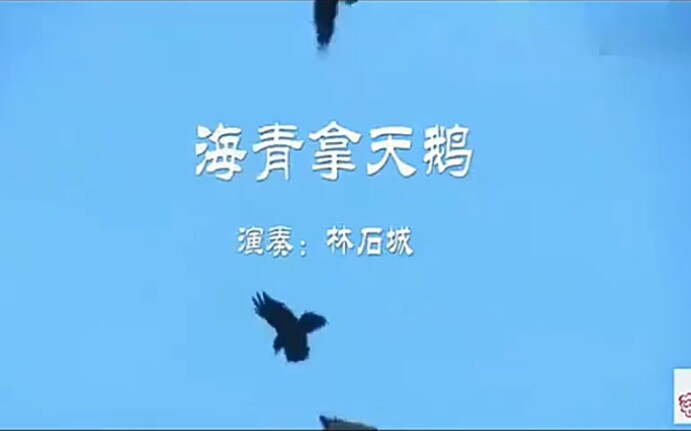 [图]【琵琶】林石城 演奏《海青拿天鹅》完整版！音配像