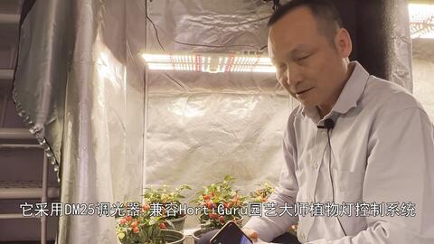 植物帐蓬植物灯 药用植物栽培和珍贵作物繁殖育种 哔哩哔哩 Bilibili
