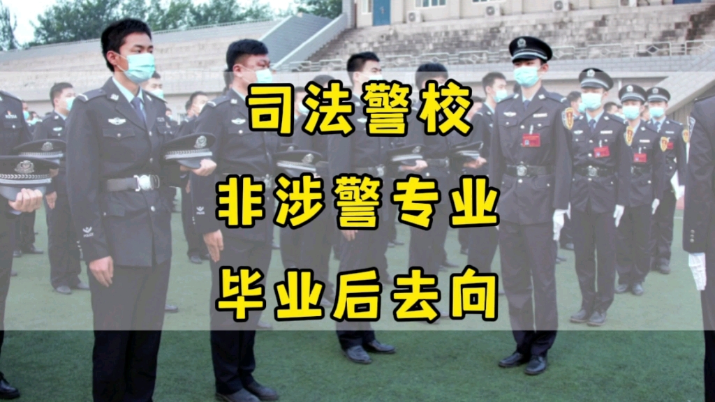 司法警校,8个非涉警(管理科学)专业男生,毕业后去向哔哩哔哩bilibili