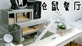 刺猬也能住豪宅 手工制作缩小一万倍的仓鼠刺猬豪华小屋 哔哩哔哩 つロ干杯 Bilibili