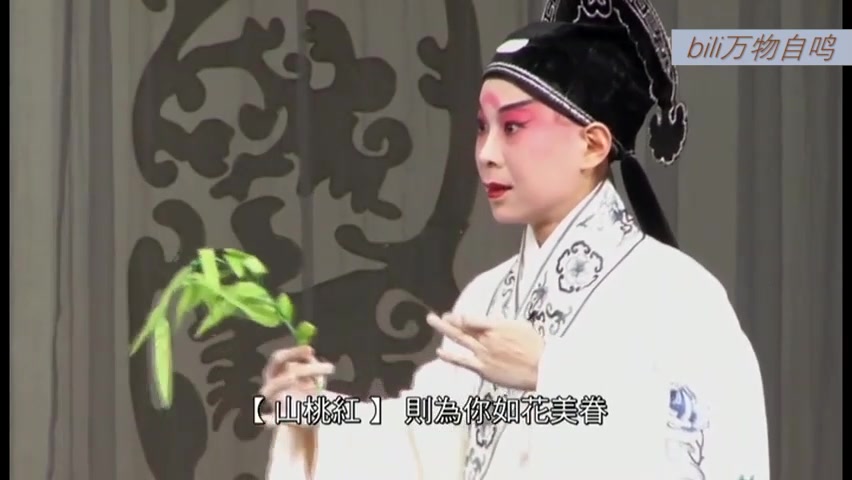 【昆曲牡丹亭】单雯-山桃红-领口松衣带宽-有翻译注解