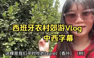 Download Video: 这就是西班牙农村啦，农村郊游Vlog（中西字幕）