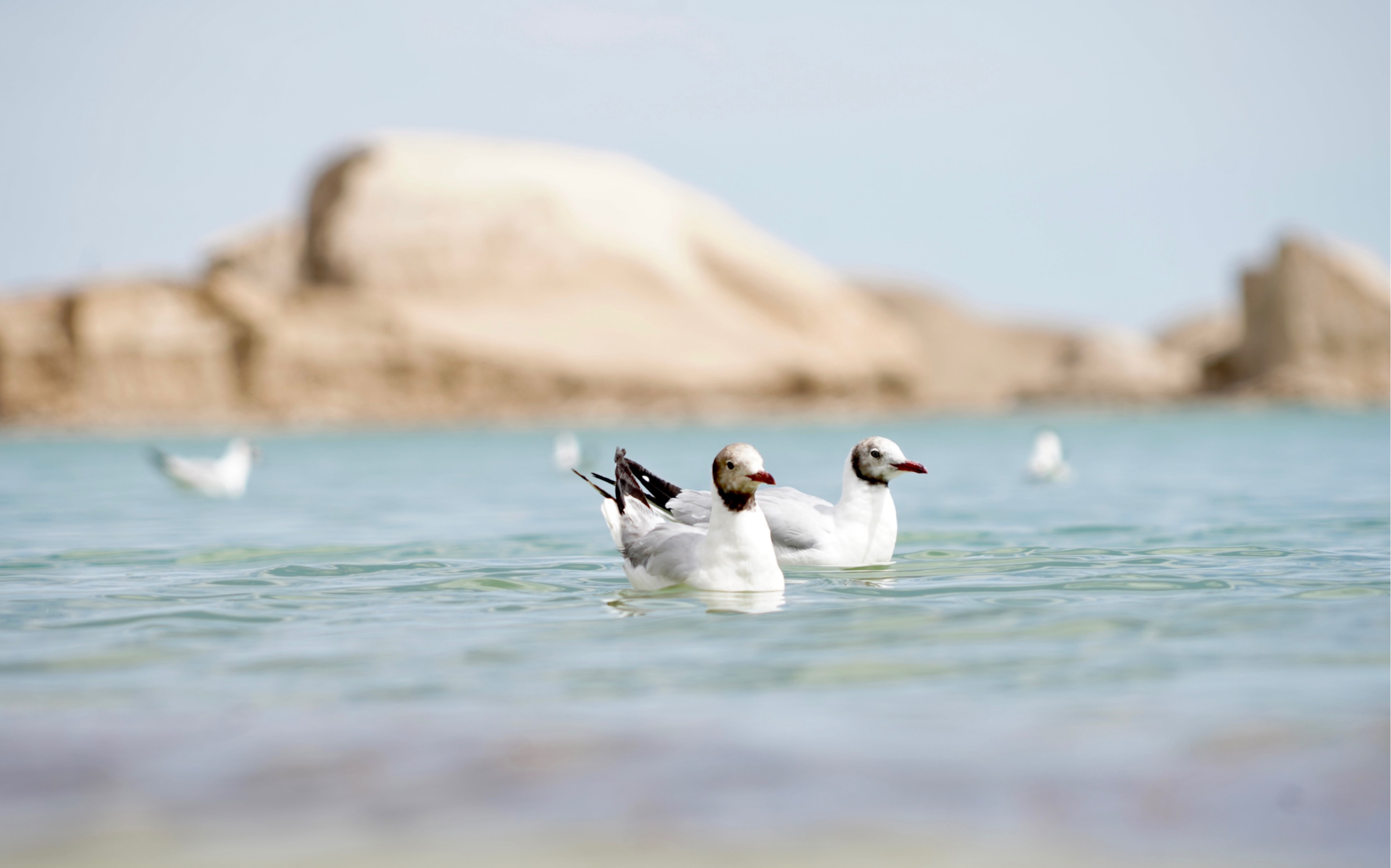 乌素特水上雅丹·不一样的大美