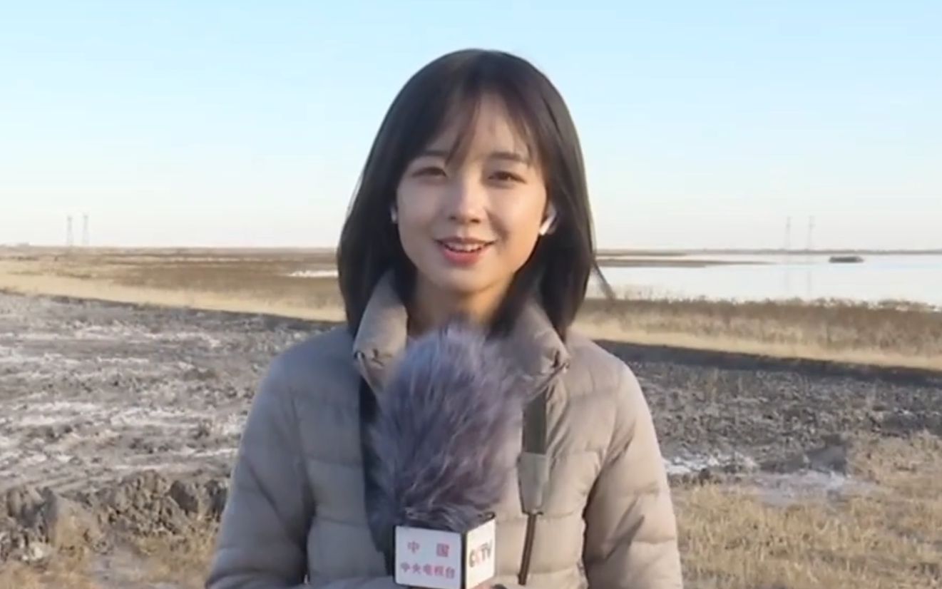 又到候鸟迁徙时总台央视记者王冰冰带你去野外观鹤