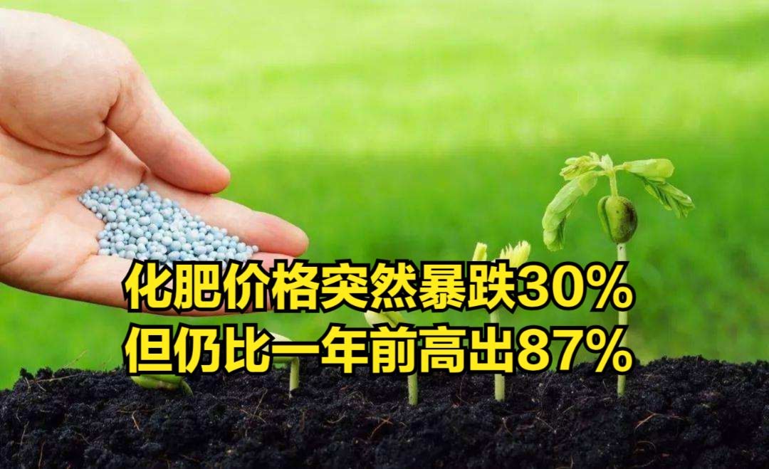 粮食危机缓解?化肥价格突然暴跌30%,但仍比一年前高出87%哔哩哔哩bilibili