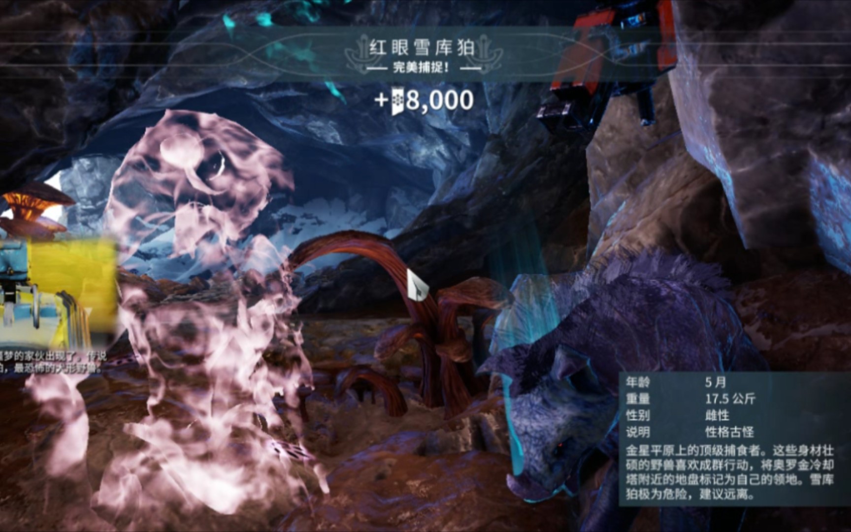 活动  星际战甲金星声望保育推荐