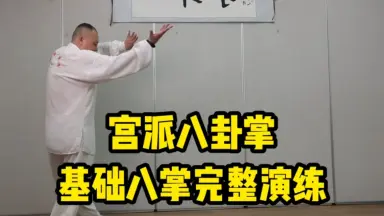 宫派八卦拳-哔哩哔哩_Bilibili