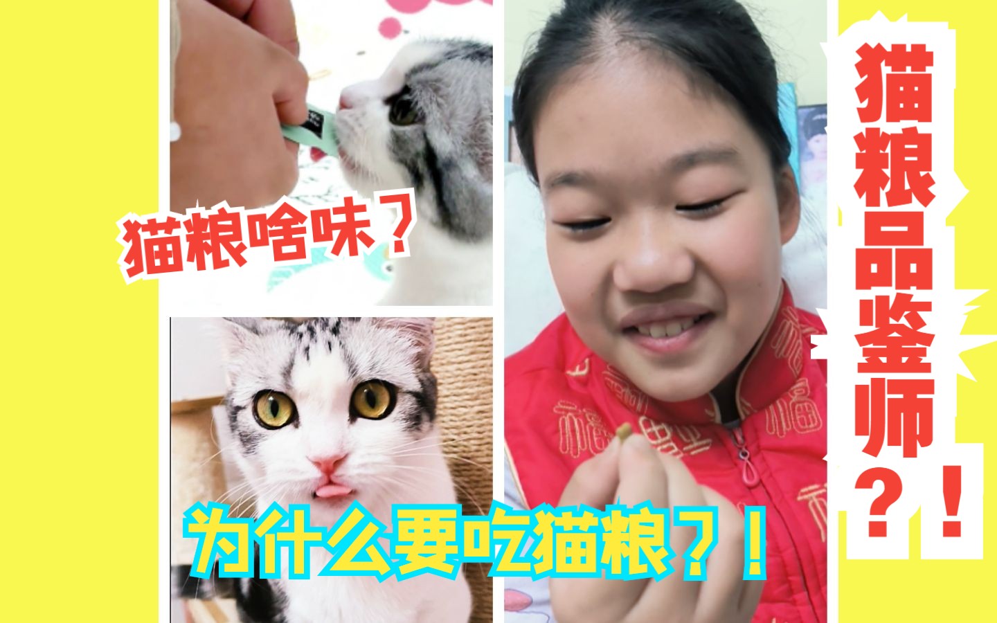 家有小安人类吃猫粮?!猫粮到底什么味!哔哩哔哩bilibili