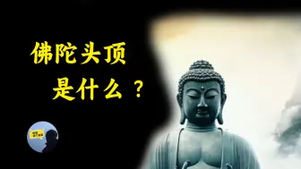 下载视频: 佛祖为什么有头发？释迦牟尼头顶上的是什么？佛像哪里来的？