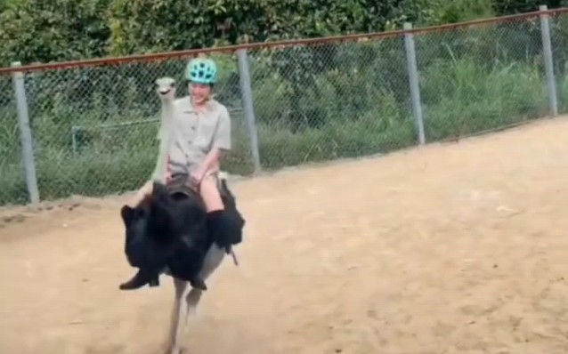 美女公园骑鸵鸟