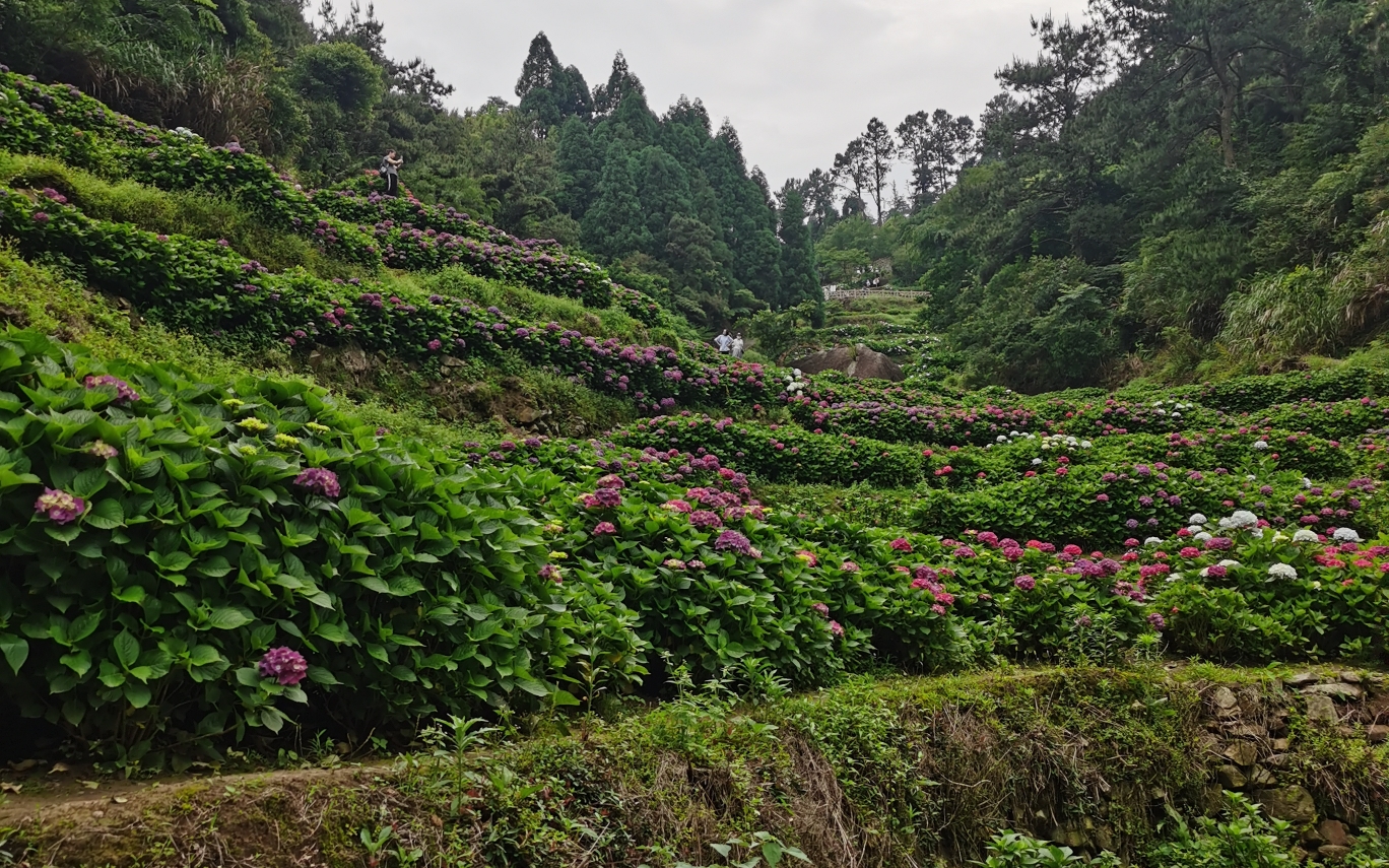 福州鼓岭花溪谷,山路比较险,又是锻炼身体的一天