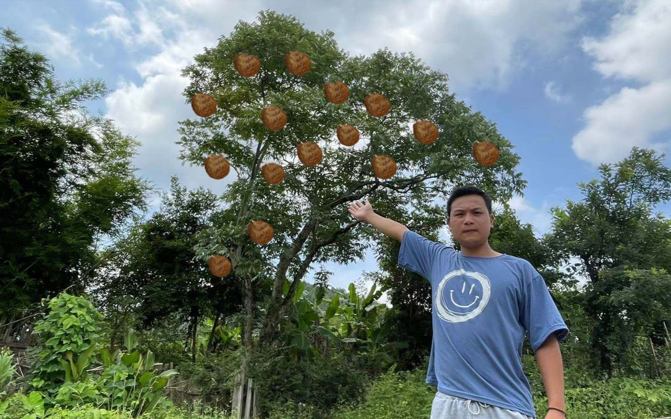 大爷60年前种"摇钱树",老板开价100万也不卖,看看他怎么说?