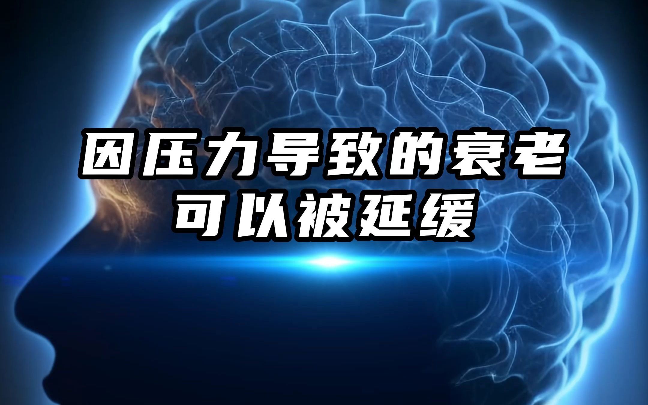 Cell子刊:哈佛学者发现压力造成的衰老可以“养”回来!哔哩哔哩bilibili