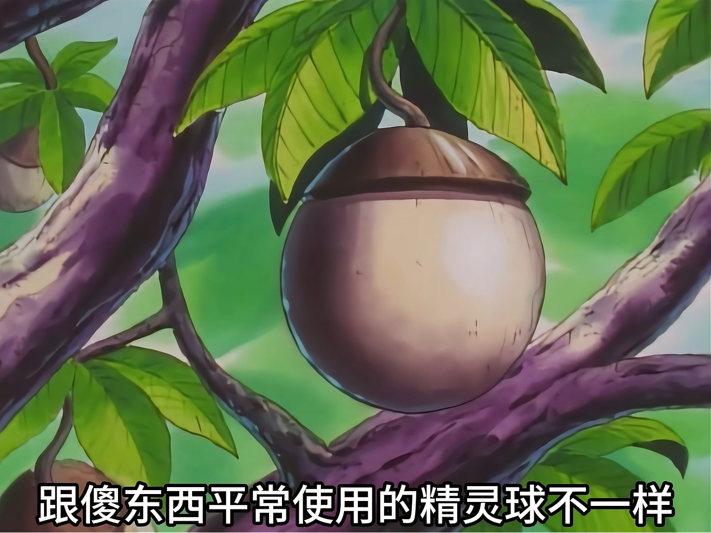宝可梦:精灵球是圆柑果实做的,长见识了,一直以为是铁做的