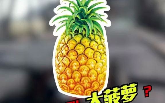 吃鸡中的中式叫法(三)m249为什么叫大菠萝