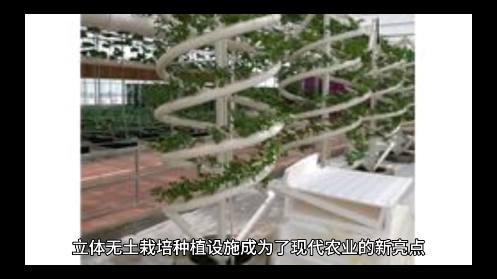 西宁立体无土栽培种植设施