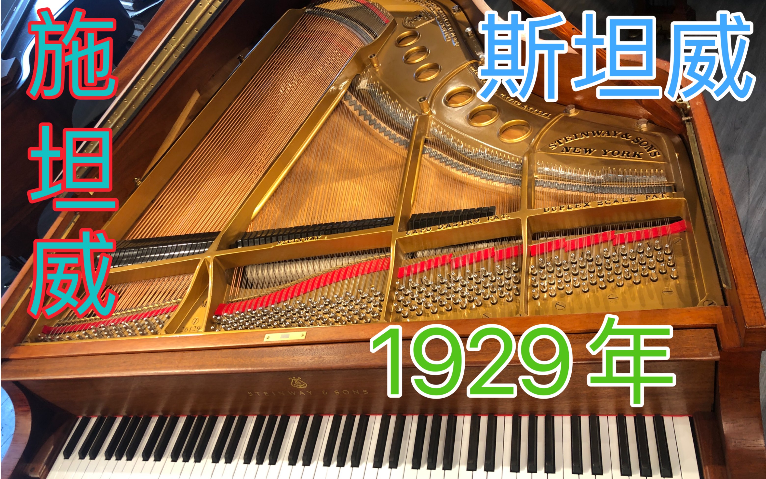 【美国高品质重建STEINWAY】番号261296施坦威M170斯坦威1929年美国纽约产哔哩哔哩bilibili