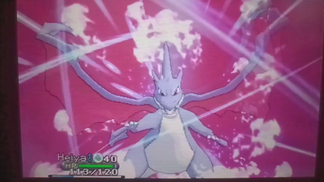 漆黑血翼龙王!闪光mega喷火龙y