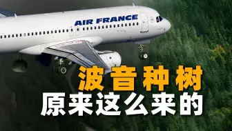 数千人围观的“空难直播”，空客的至暗时刻，波音种树梗竟来源于此