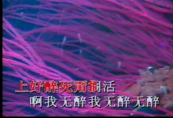 [图]臺語之星歌曲合集VCD