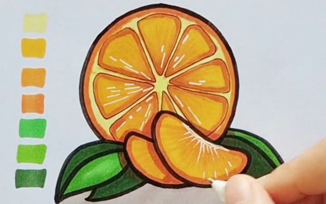 橘子手绘线稿涂色