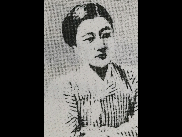 新民谣李花子哀愁的鸭绿江