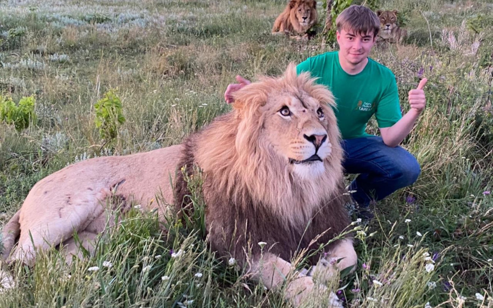 狮子苏丹在草原向员工or记者营业记录合集(官方视频以外)