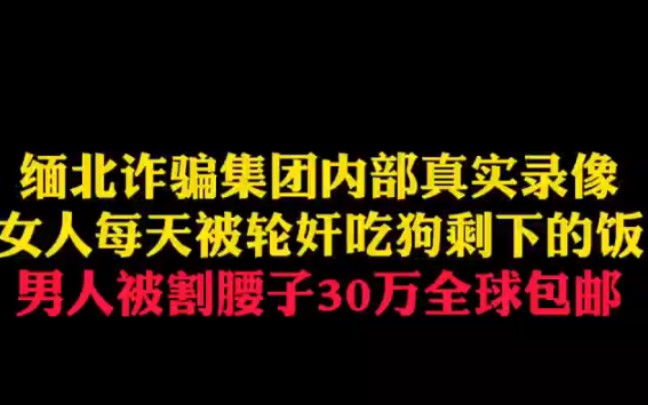 [图]被骗到缅北的女人，会有什么下场？