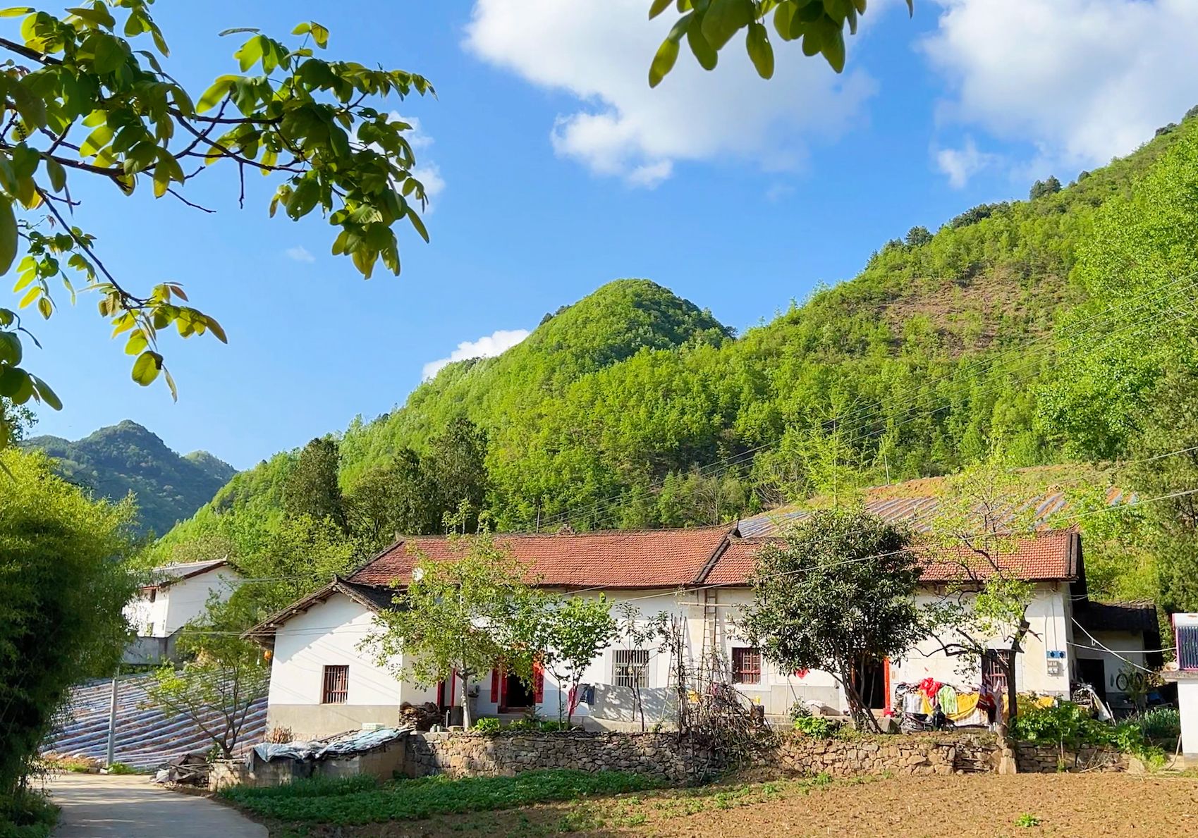 故乡的蓝天白云微风,春天的小山村温柔至极哔哩哔哩bilibili