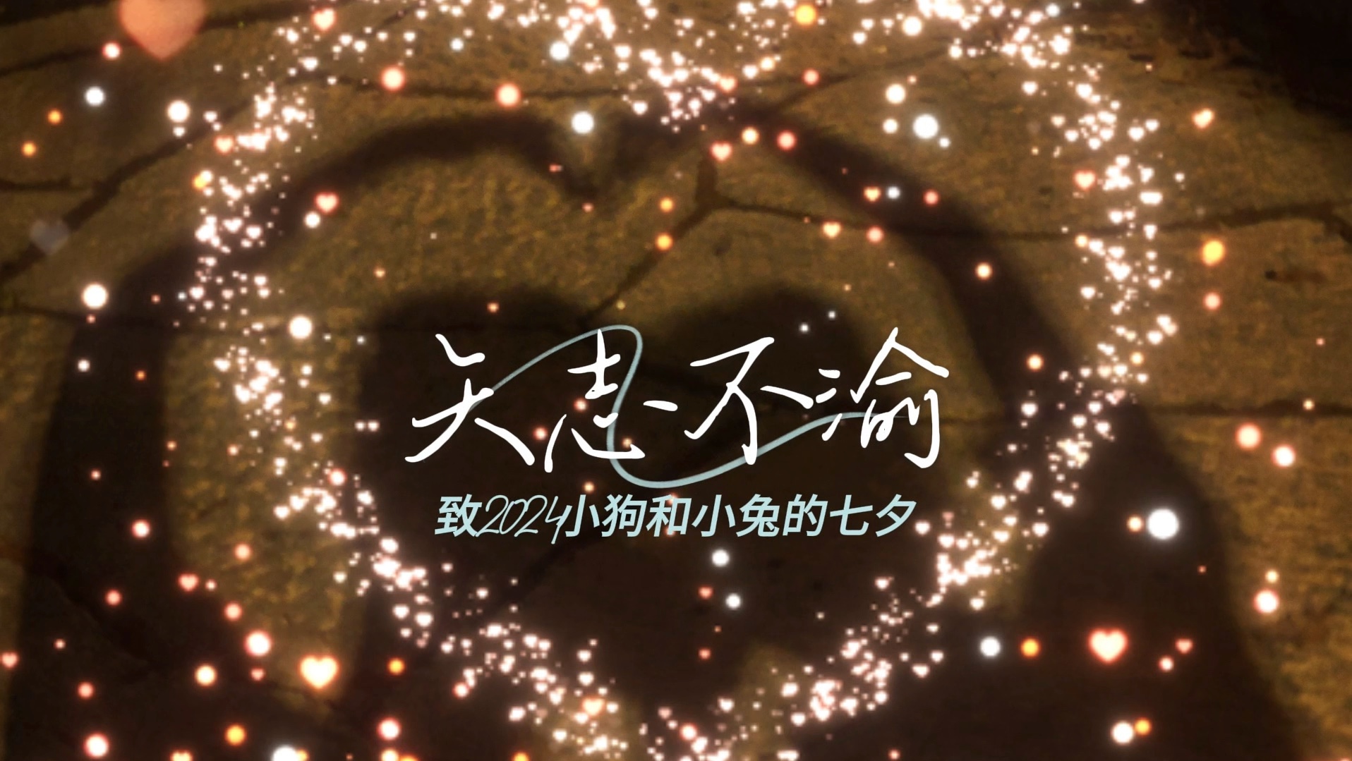 一年又一年 我对你更加矢志不渝