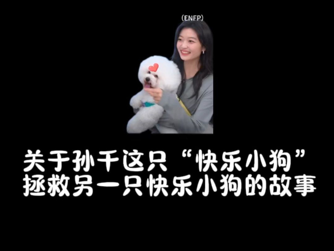 天!兴兴猪!傻狗有傻福!被女明星孙千点名宠爱啦!!!哔哩哔哩bilibili